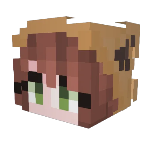 Slashy119 Minecraft avatar head, 3D render