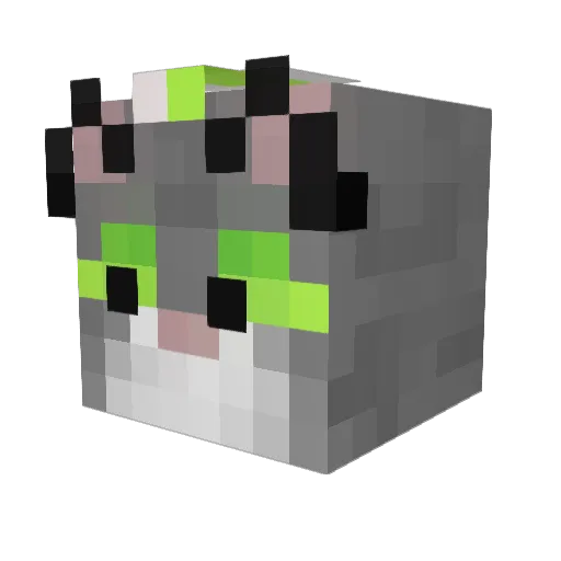 SlateNotSteel Minecraft avatar head, 3D render