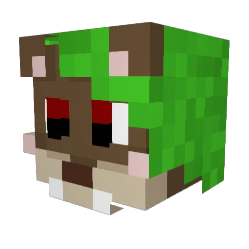 SlateTheOttpire Minecraft avatar head, 3D render