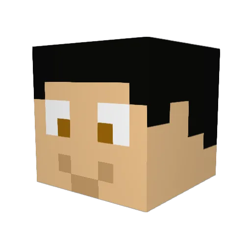 Slater01 Minecraft avatar head, 3D render