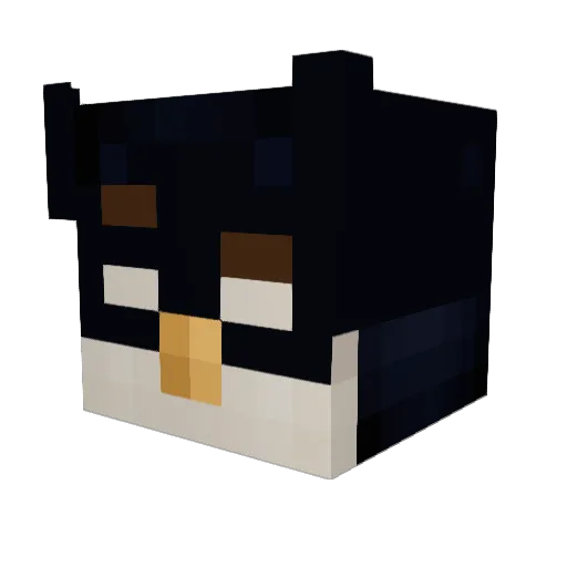 SlaughterOcean Minecraft avatar head, 3D render