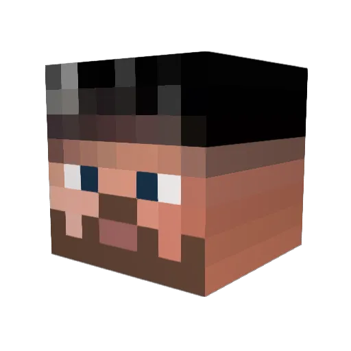 Slausl Minecraft avatar head, 3D render