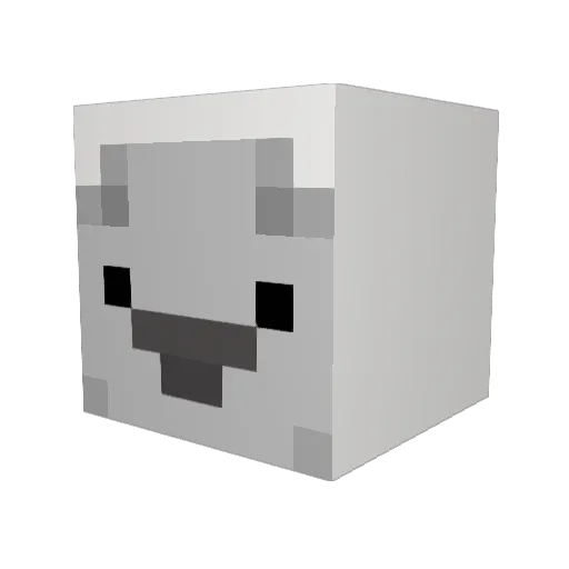 Slavbarn Minecraft avatar head, 3D render