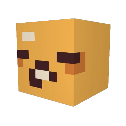 Slave0001 Minecraft avatar head, 3D render