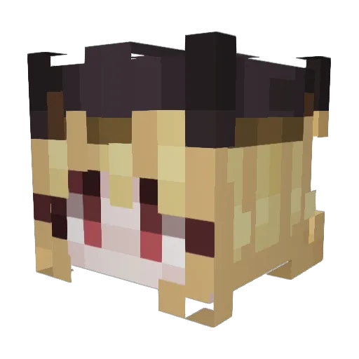 SlaveNr10 Minecraft avatar head, 3D render