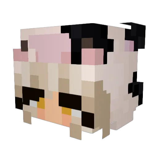 SlavicJava Minecraft avatar head, 3D render