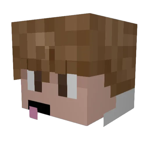 SlavicTaco Minecraft avatar head, 3D render
