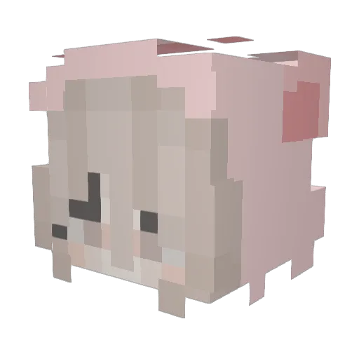 SlayPopcorn Minecraft avatar head, 3D render