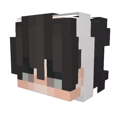 Slayer0o Minecraft avatar head, 3D render