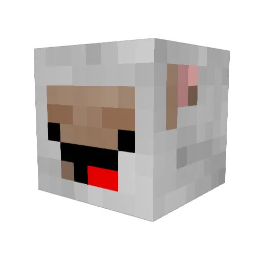 Slayer10000 Minecraft avatar head, 3D render