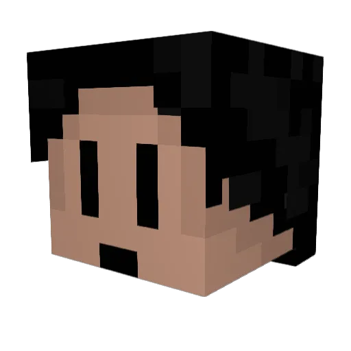 Slayer351666 Minecraft avatar head, 3D render