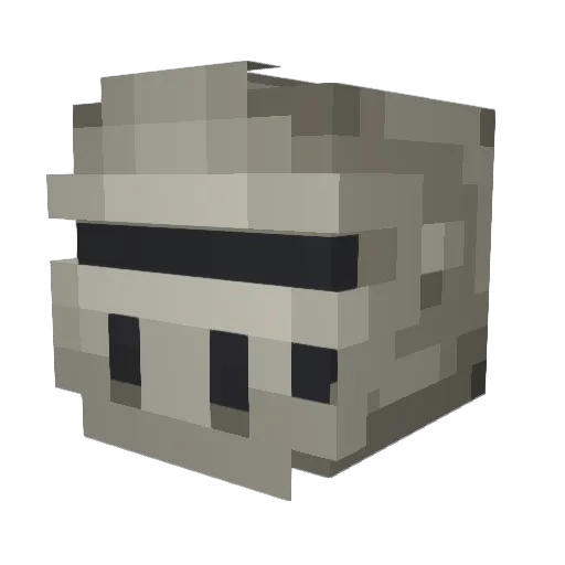 Slayer5246 Minecraft avatar head, 3D render
