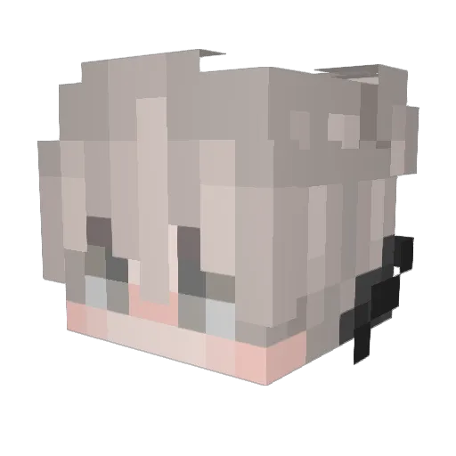 Slayer8613 Minecraft avatar head, 3D render