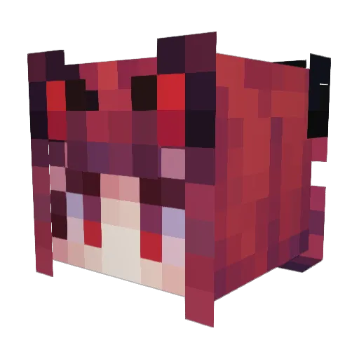 SlayerDragon589 Minecraft avatar head, 3D render