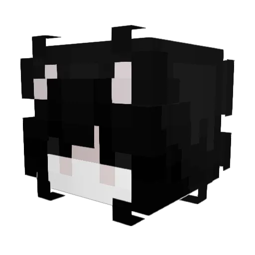 Slayer_Odinson Minecraft avatar head, 3D render
