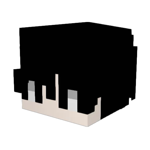 Slayer_hc Minecraft avatar head, 3D render