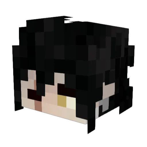 Slayerblade211 Minecraft avatar head, 3D render