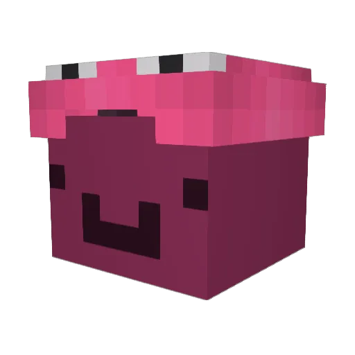 Slaygirls Minecraft avatar head, 3D render