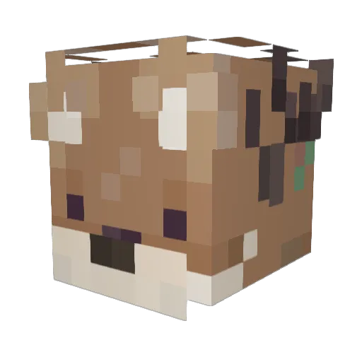 Slaz31 Minecraft avatar head, 3D render