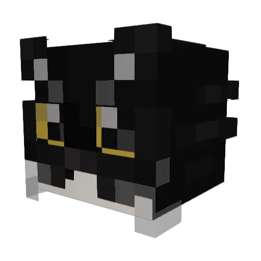 Sle3pyAkyy Minecraft avatar head, 3D render