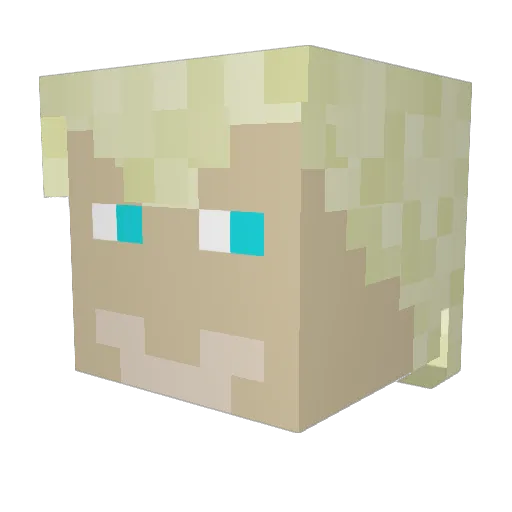 Sledge_Hammer14 Minecraft avatar head, 3D render