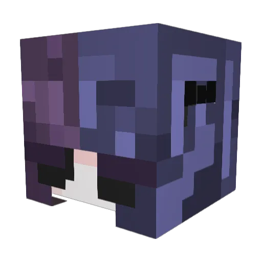 SledzNelly_ Minecraft avatar head, 3D render