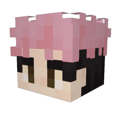 SleekBird52344 Minecraft avatar head, 3D render