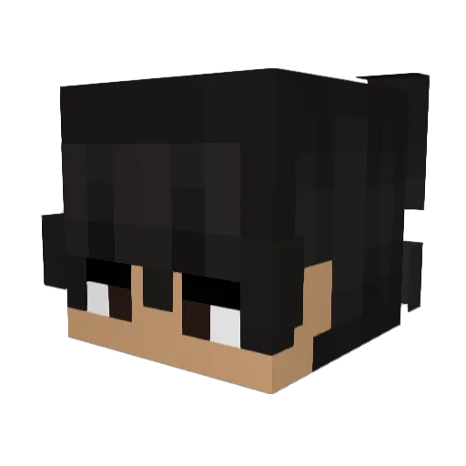 SleepDepr1ved Minecraft avatar head, 3D render