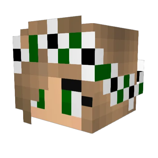 SleepInTheGardn Minecraft avatar head, 3D render