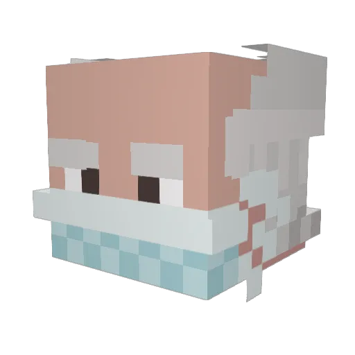 SleepIsForScrubs Minecraft avatar head, 3D render