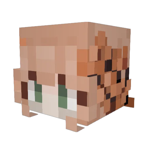 SleepNeeded24_7 Minecraft avatar head, 3D render