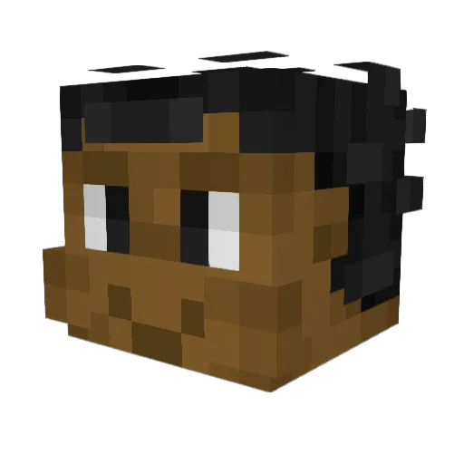 SleepPlays Minecraft avatar head, 3D render