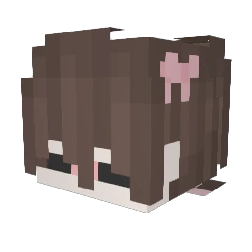 Sleep_o7 Minecraft avatar head, 3D render