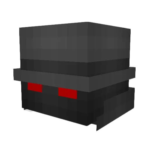 Sleepatomc Minecraft avatar head, 3D render