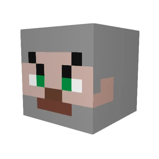 SleeperPENG Minecraft avatar head, 3D render