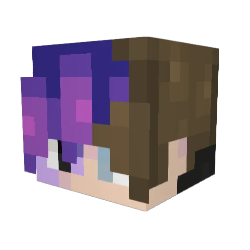 Sleeper_Snore Minecraft avatar head, 3D render