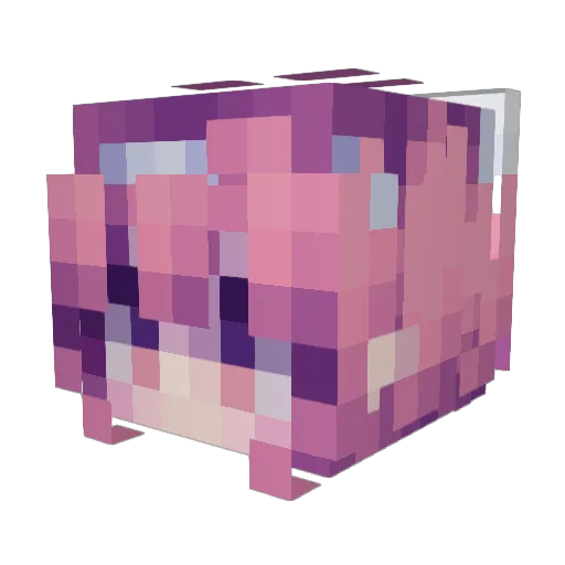 Sleepi_Dreams Minecraft avatar head, 3D render