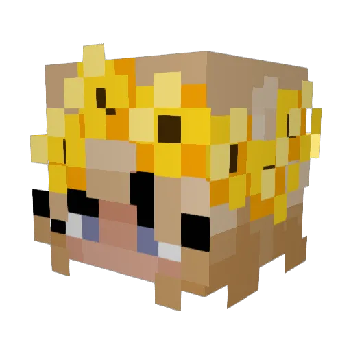 Sleepie_Nikkie Minecraft avatar head, 3D render