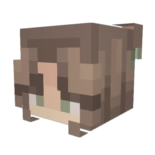 Sleepii_Lii Minecraft avatar head, 3D render