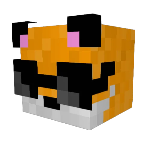 Sleepingfox4434 Minecraft avatar head, 3D render