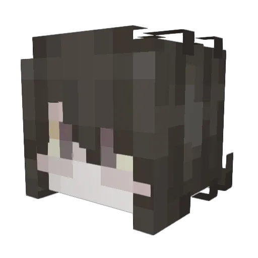 Sleepingzss Minecraft avatar head, 3D render