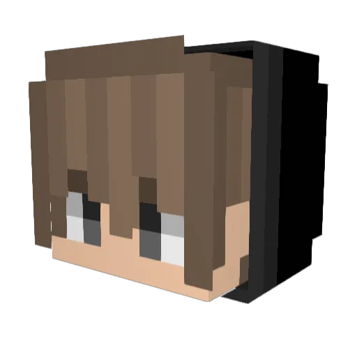 Sleepl3ss Minecraft avatar head, 3D render