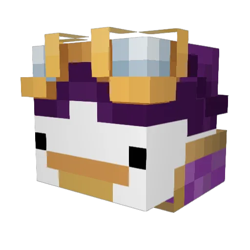 SleeplessLich Minecraft avatar head, 3D render