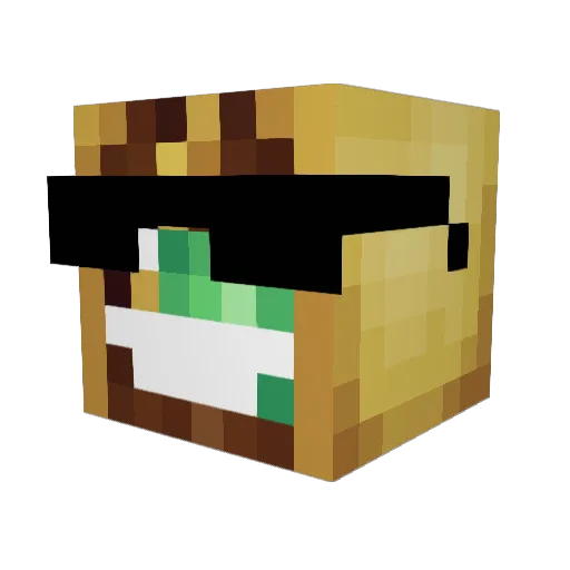 Sleeplesstaco Minecraft avatar head, 3D render