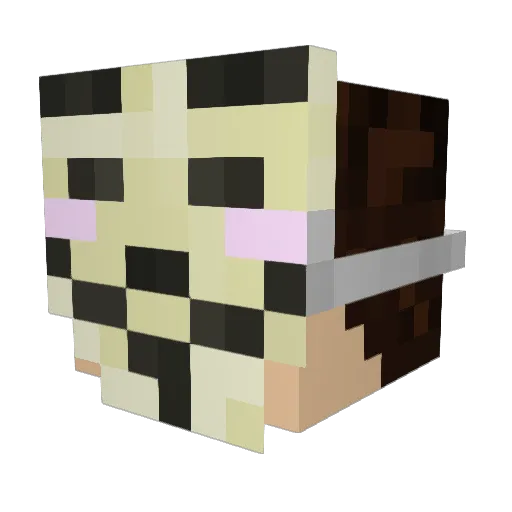 Sleeplez Minecraft avatar head, 3D render