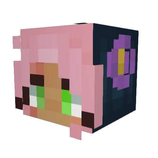 SleeplyCabin Minecraft avatar head, 3D render