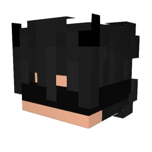 SleeppDarckkk Minecraft avatar head, 3D render