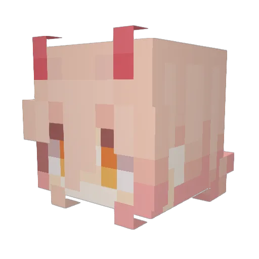Sleeppu Minecraft avatar head, 3D render