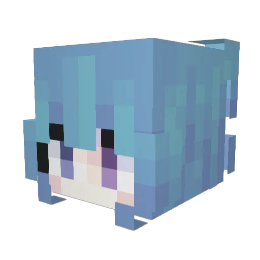 Sleeptimes Minecraft avatar head, 3D render
