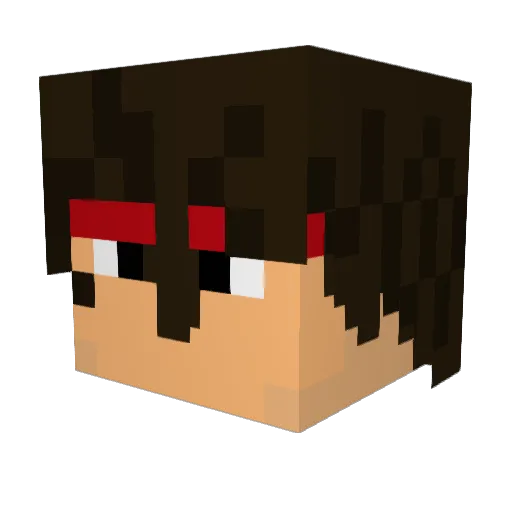 Sleepwalk1029 Minecraft avatar head, 3D render